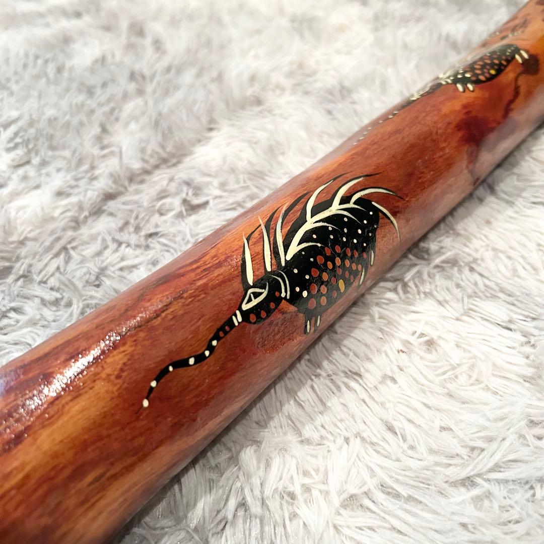 希少 イダキ 楽器 ディジュリドゥ 管楽器 オーストラリア