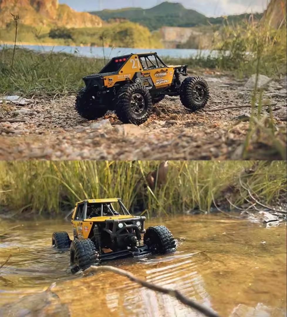 ucx2405Pro カスタム4ws メタルボディ化【オプション追加後の発送】