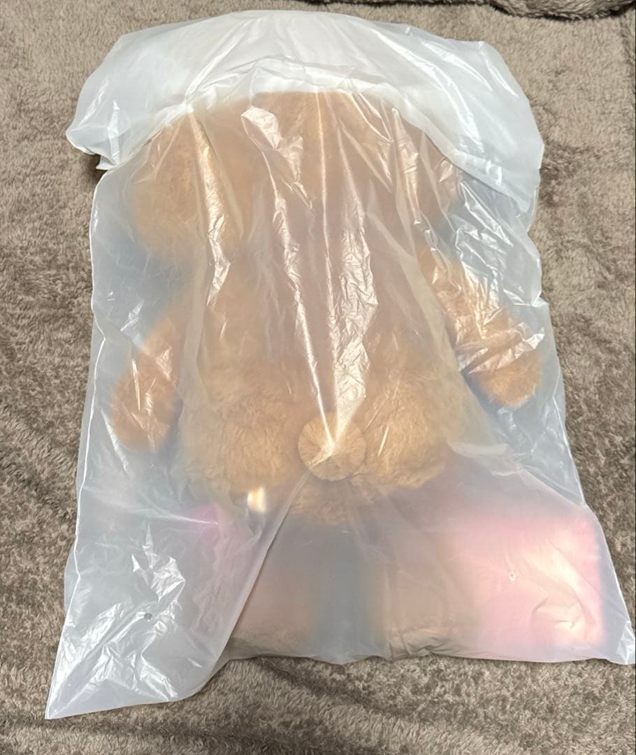 straykids ハン/ハンクウォッカ　テディベア