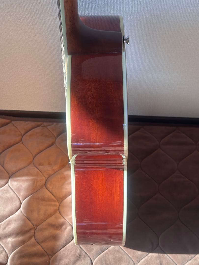 James J-300A NAT アコースティックギター ソフトケース付き