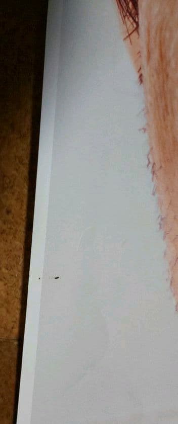 矢沢永吉 『矢沢永吉 サントリー角 販売促進告知BOポスター(非売品)』