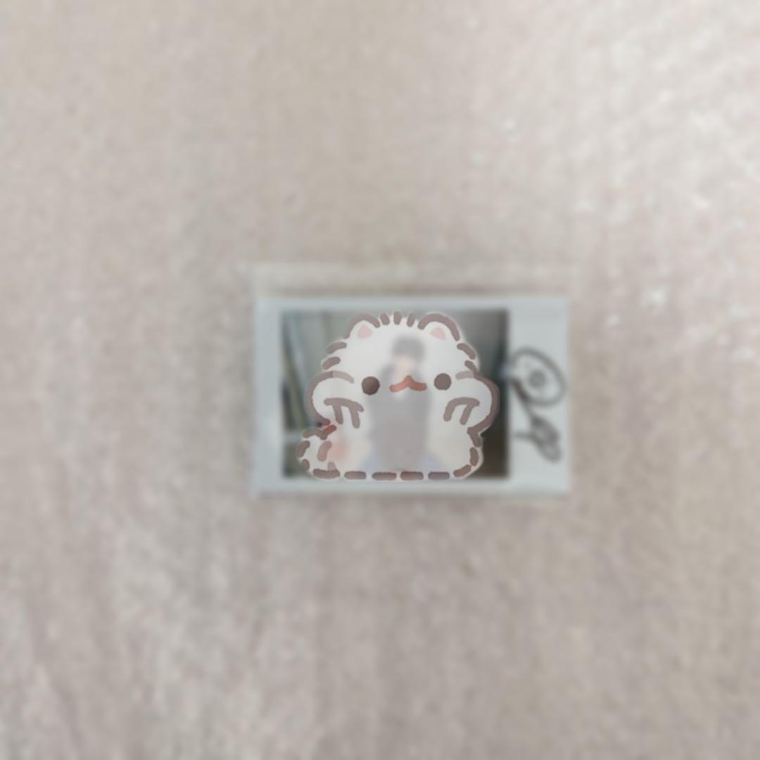 idntt ドフン サインポラロイド