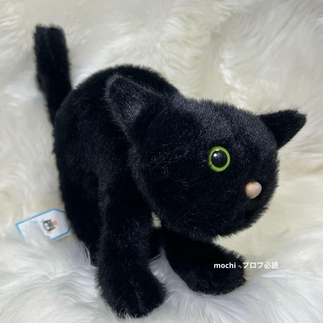  Spookipaws Cat クロネコ ぬいぐるみ 新品
