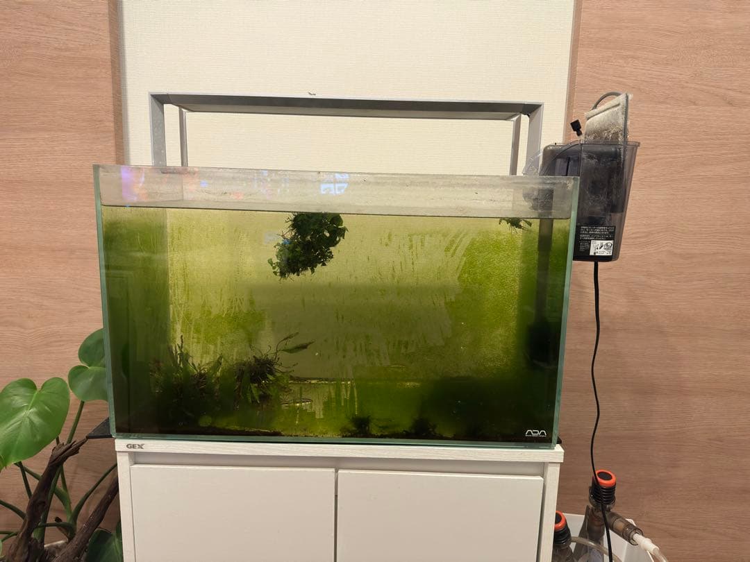 ADA アクアスカイ RGB 60