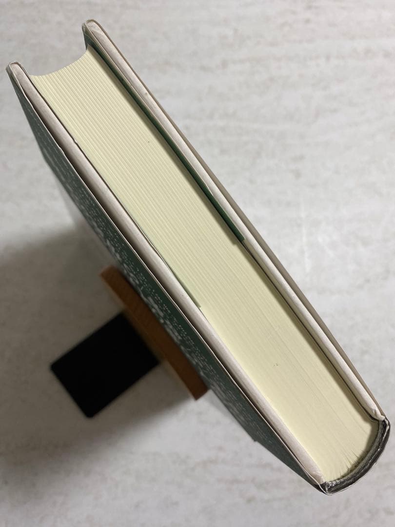 入国管理政策 「1990年体制」の成立と展開