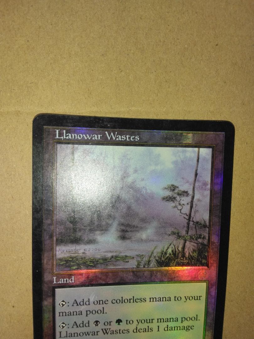 ラノワールの荒原 Llanowar Wastes 英語 Foil APC MTG