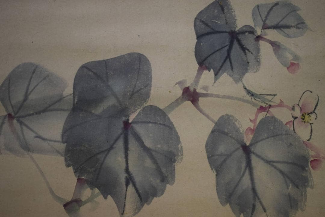 真作/松村景文/秋海棠図/シュウカイドウ図/布袋屋掛軸HI-244