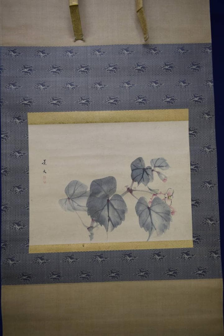 真作/松村景文/秋海棠図/シュウカイドウ図/布袋屋掛軸HI-244