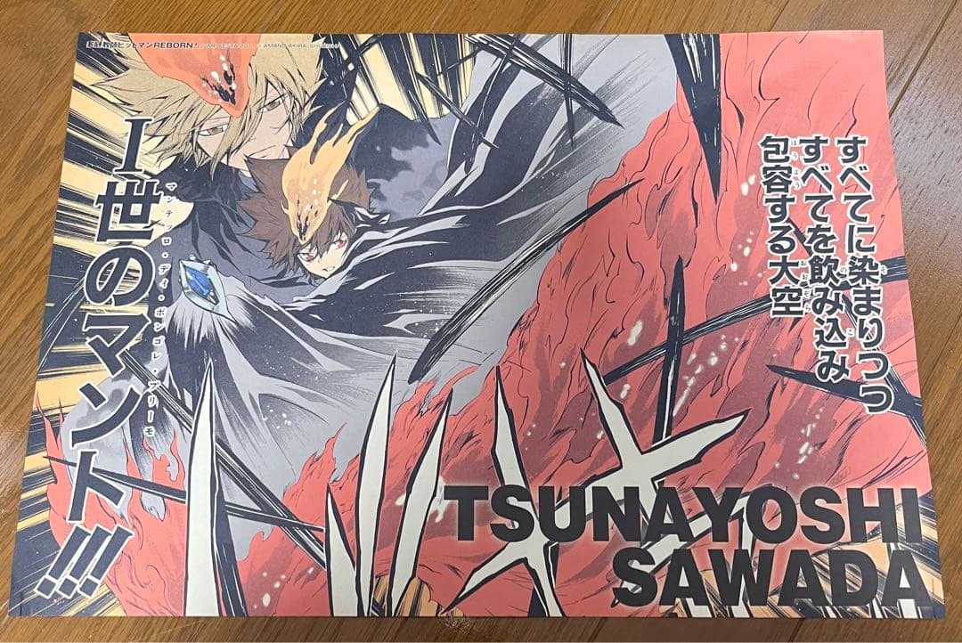 家庭教師ヒットマンREBORN 名場面ポスター　3枚セット