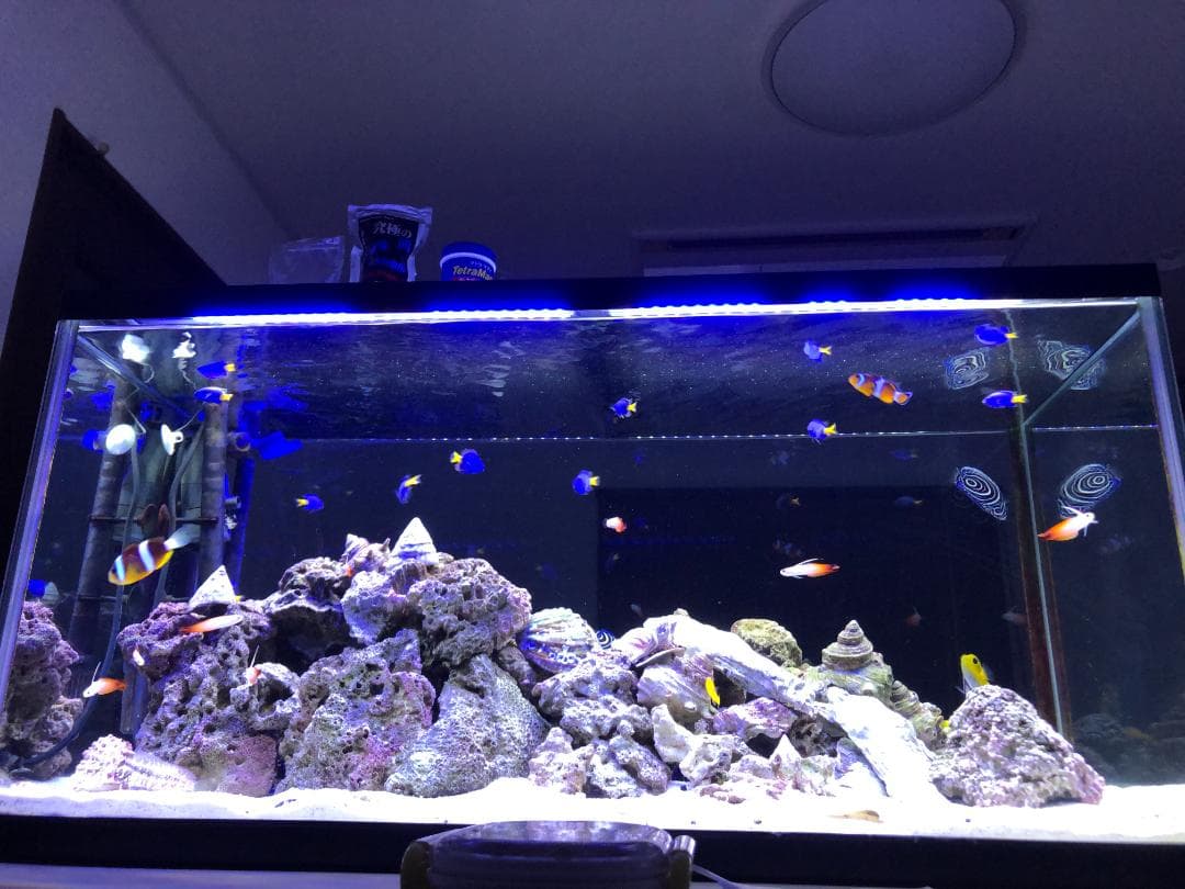 Tetra テトラUV殺菌灯 UV-120【新品・未使用】熱帯魚 海水魚