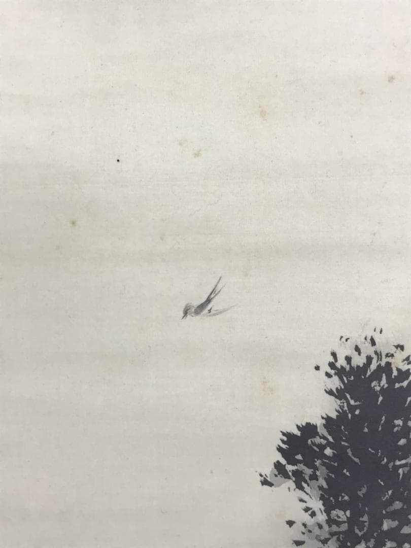 真作/渡辺秋渓/富士山水ホトトギス図/掛軸/名家伝来/AE-12