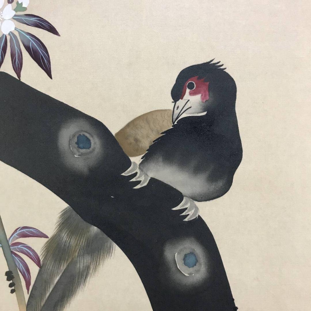 模写/酒井抱一/桜に雉図/花鳥図/春の掛軸/掛軸☆宝船☆AK-628