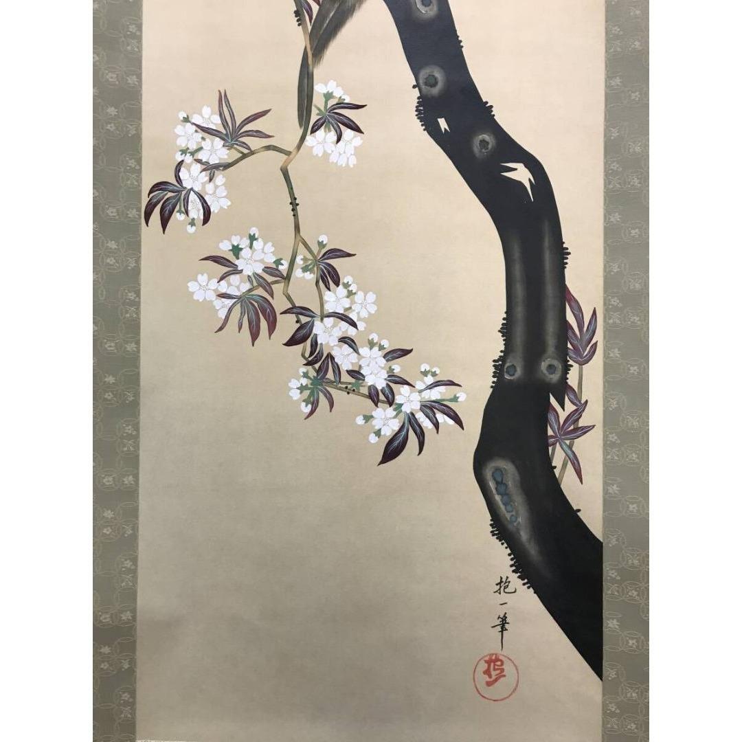 模写/酒井抱一/桜に雉図/花鳥図/春の掛軸/掛軸☆宝船☆AK-628