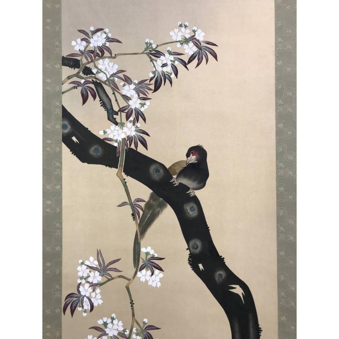 模写/酒井抱一/桜に雉図/花鳥図/春の掛軸/掛軸☆宝船☆AK-628