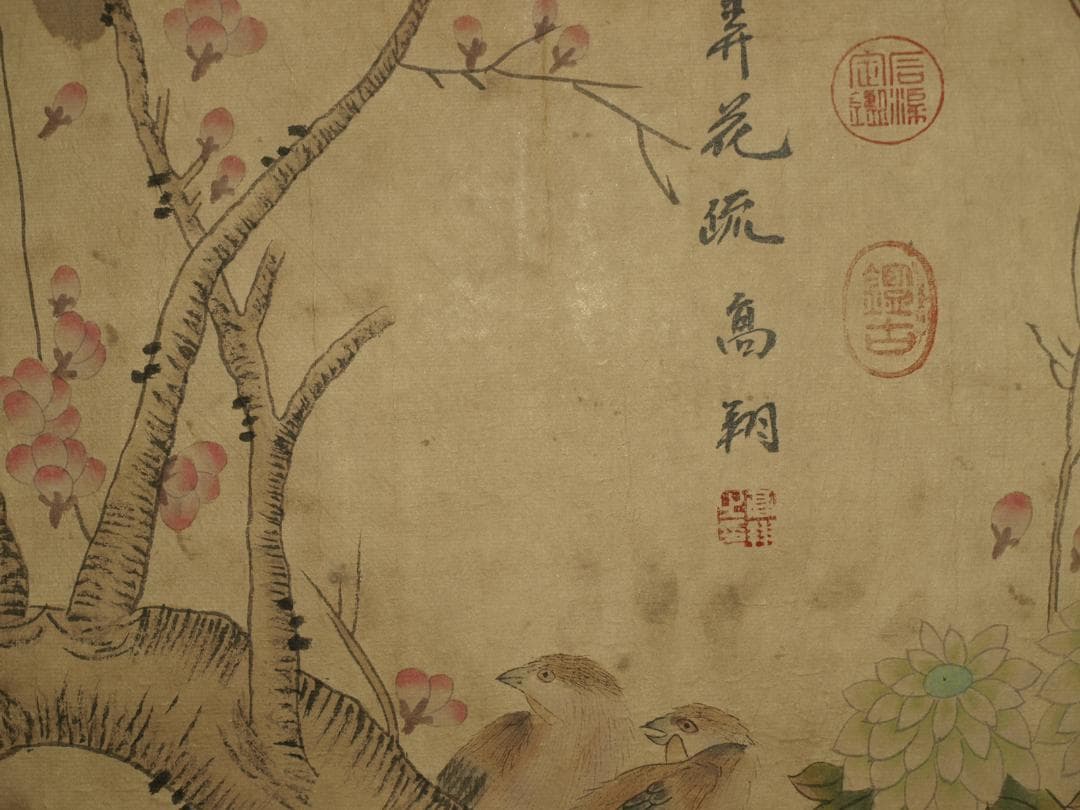 民間仕入れ品　中国清時代の物図　肉筆絵　激安骨董品 BD226A13-3