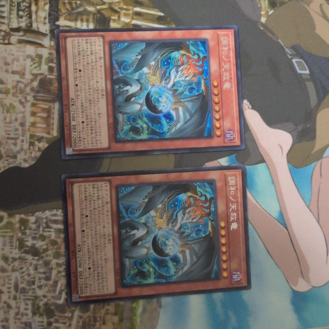 遊戯王 調和ノ天救竜 シク２枚