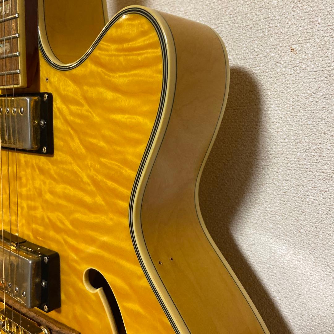 ギター Schecter Diamond Series JAZZ