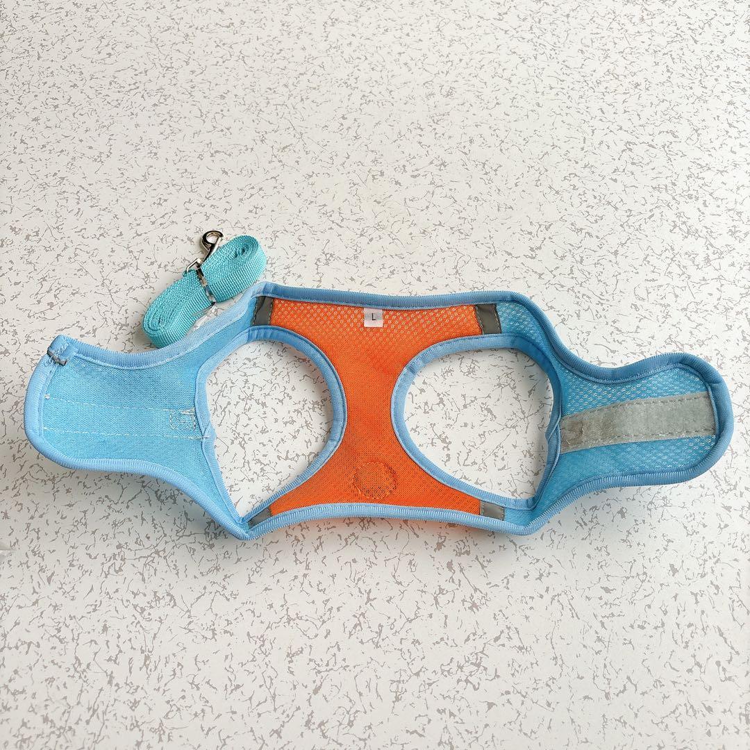 猫用メッシュハーネス Lサイズ 青オレンジ