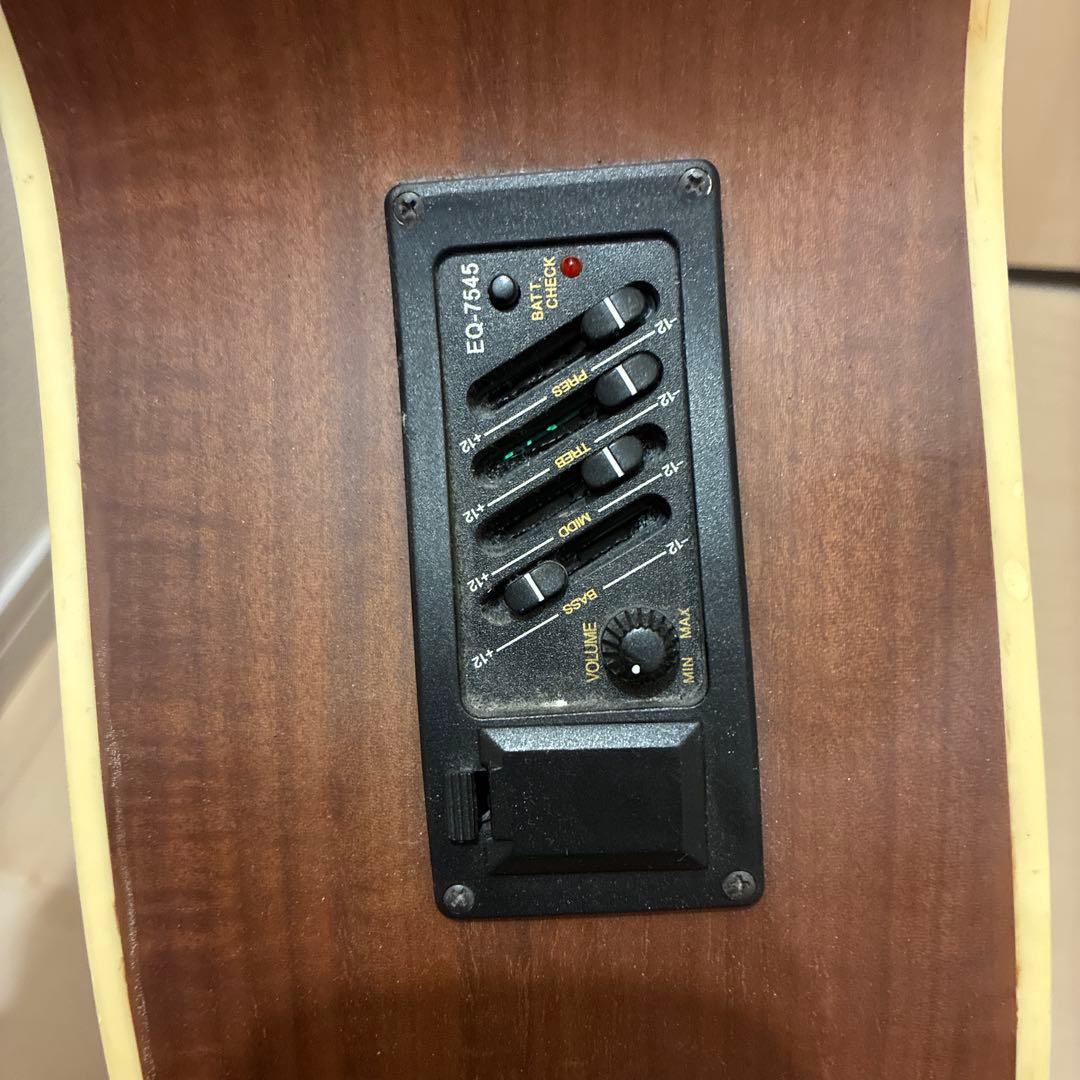 Alegre アコースティックベース　アンプ接続可能