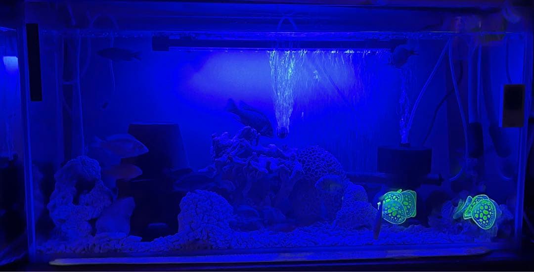 水槽90cm ガラス水槽 人工水草珊瑚