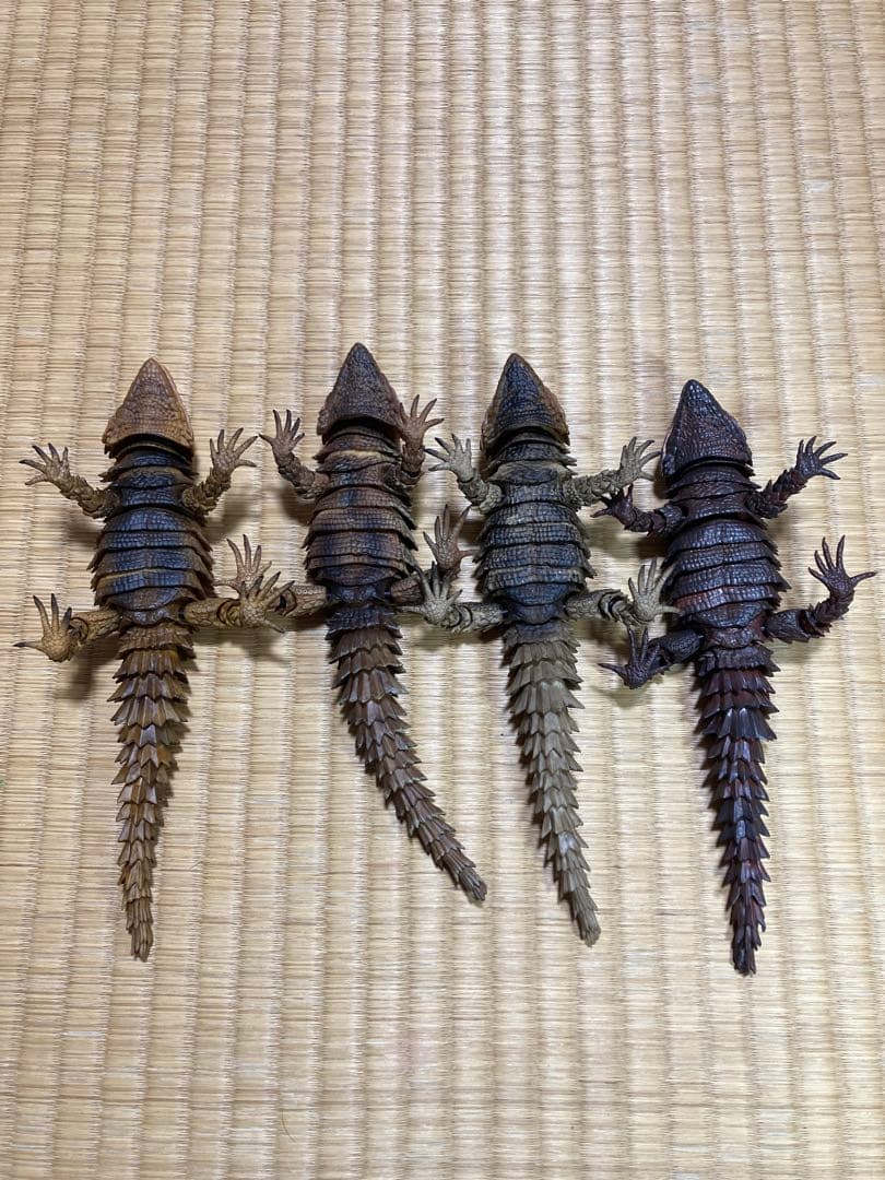 いきもの大図鑑　アルマジロトカゲ コンプリート　4種