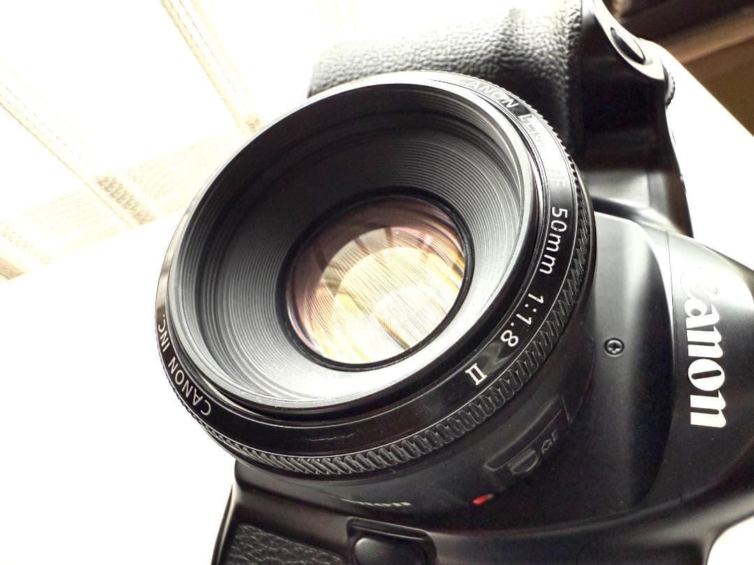 Canon EOS 1N フィルム一眼レフカメラ