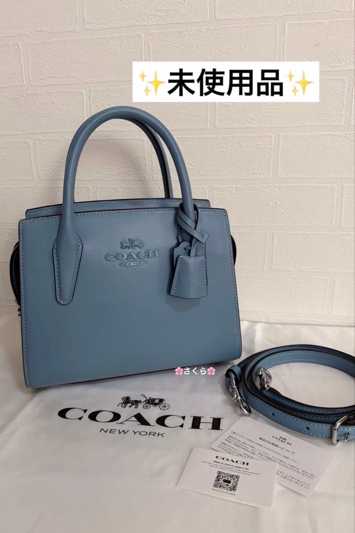 ✨未使用品✨コーチ アンドレア キャリーオール 2way ショルダーバッグ