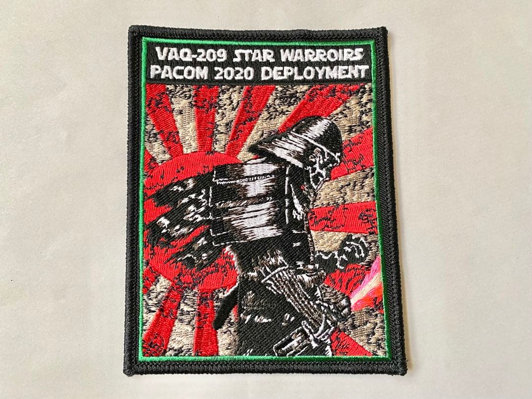 激レア VAQ-209 STAR WARROIRS 2020 グラウラー