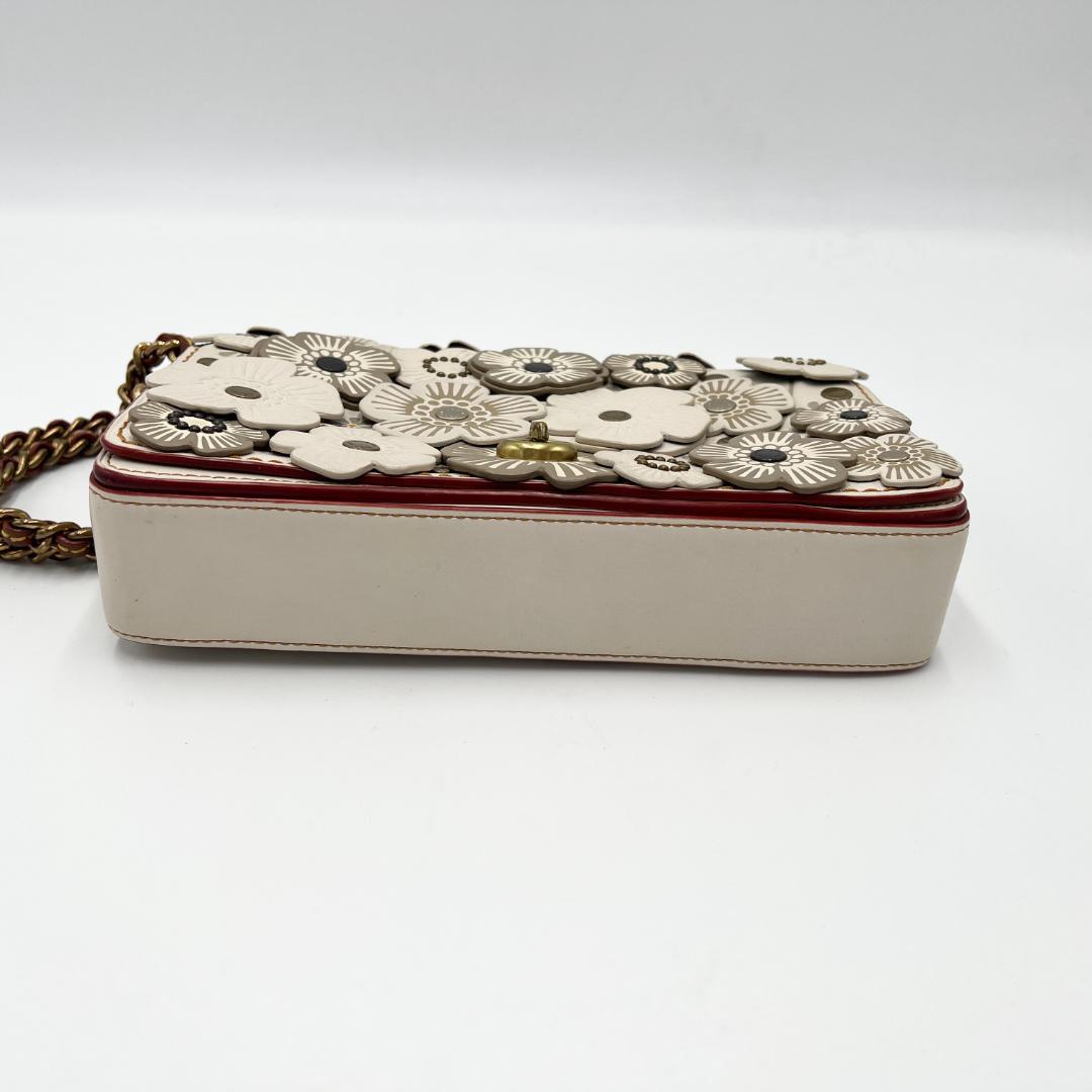 激レア COACH コーチ 2way 3way ディンキー ティーローズ バッグ