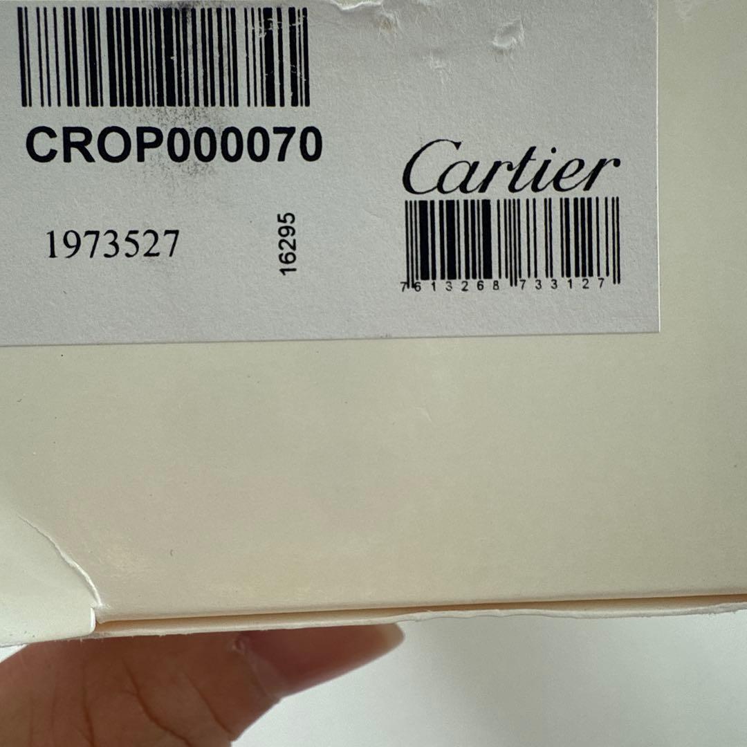 【新品＊未使用】Cartier 黒 ボールペン ケース付き 珍しい赤い石付き