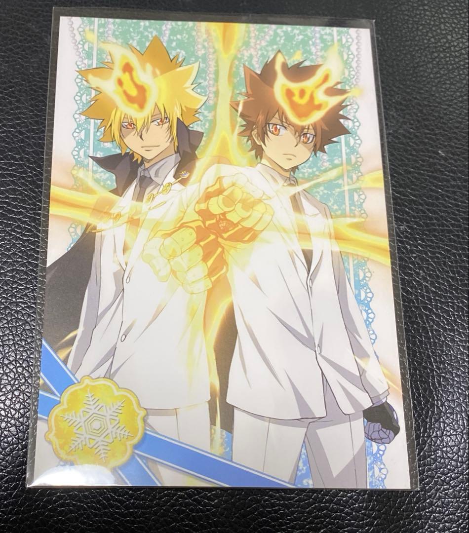 家庭教師ヒットマンREBORN リボアニ　ポストカード　沢田綱吉　プリーモ　一世