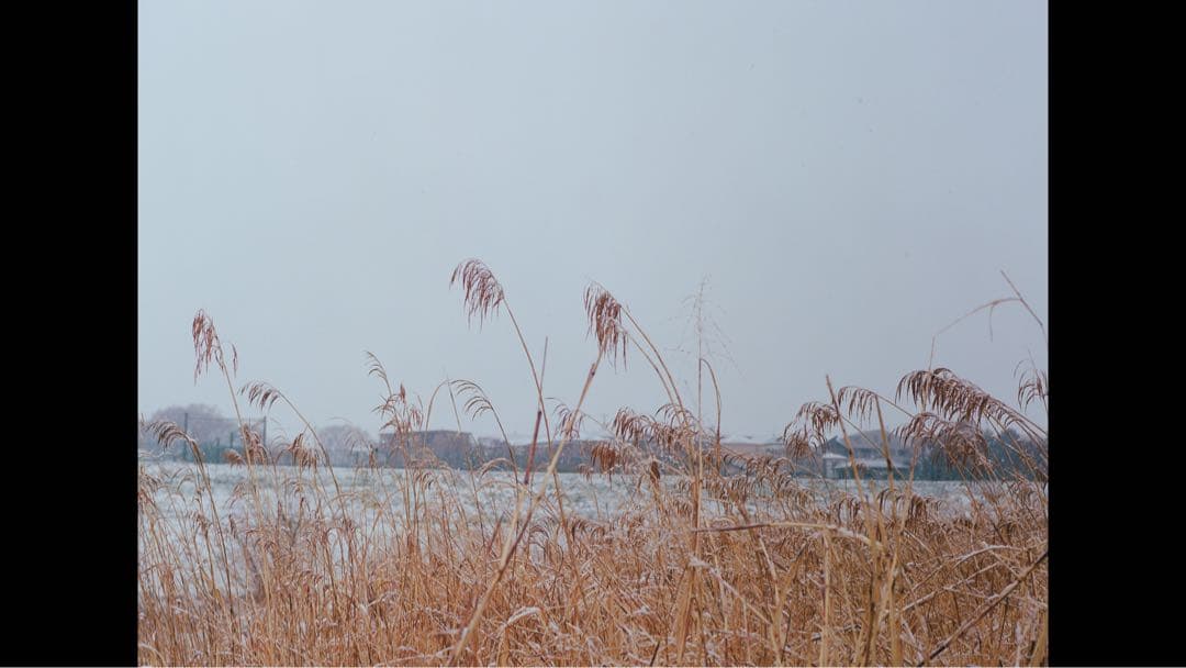 mamiya645 Super 作例あり