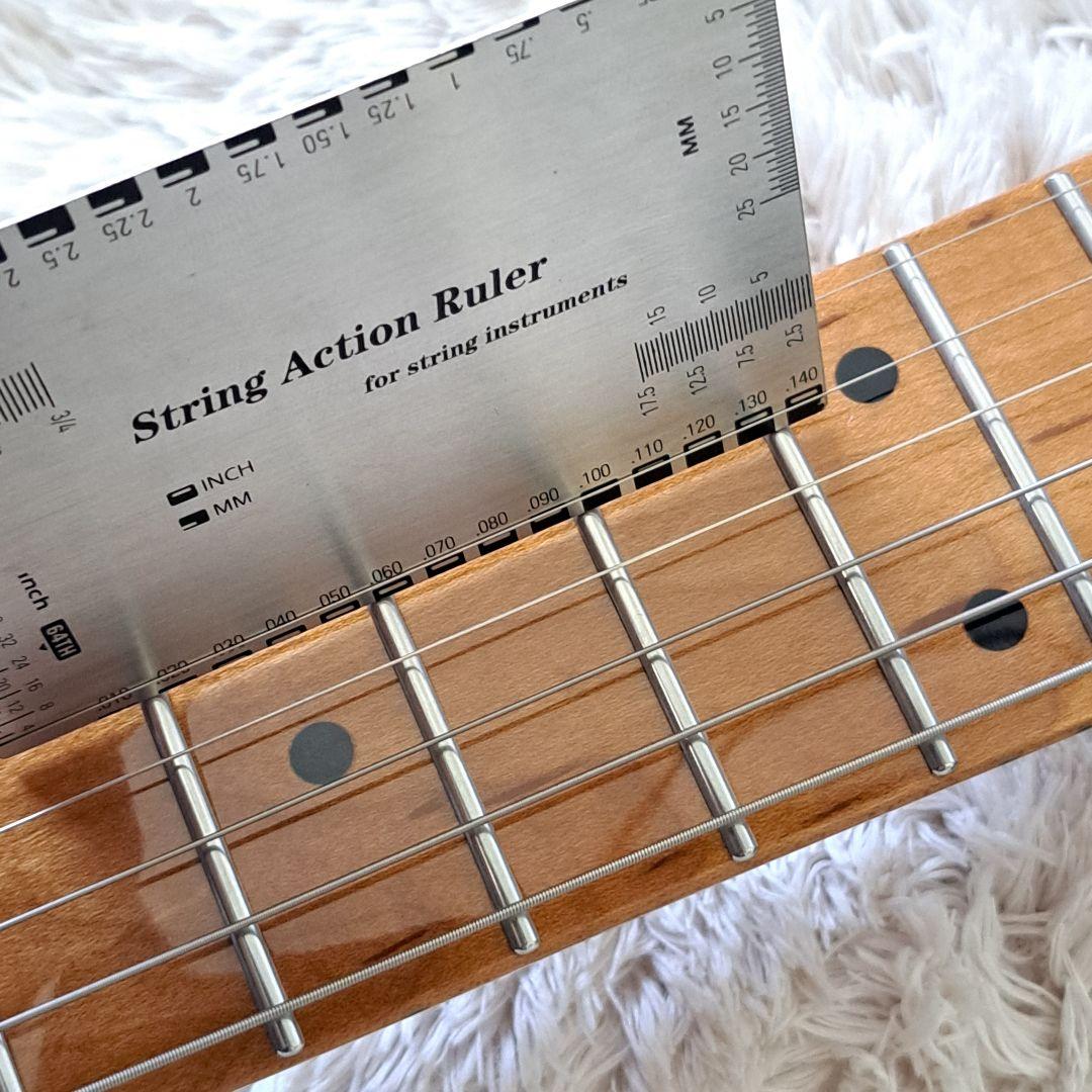 高品質アルダー材とローステッドメイプルネックを採用した、プロ仕様のスマートギター