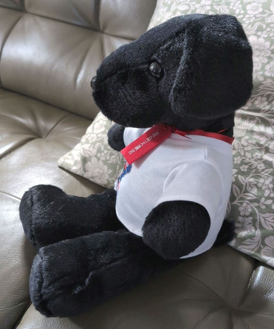 【新品】さだまさし50周年記念　完全予約受注生産　詩之助ぬいぐるみ　色紙オマケ