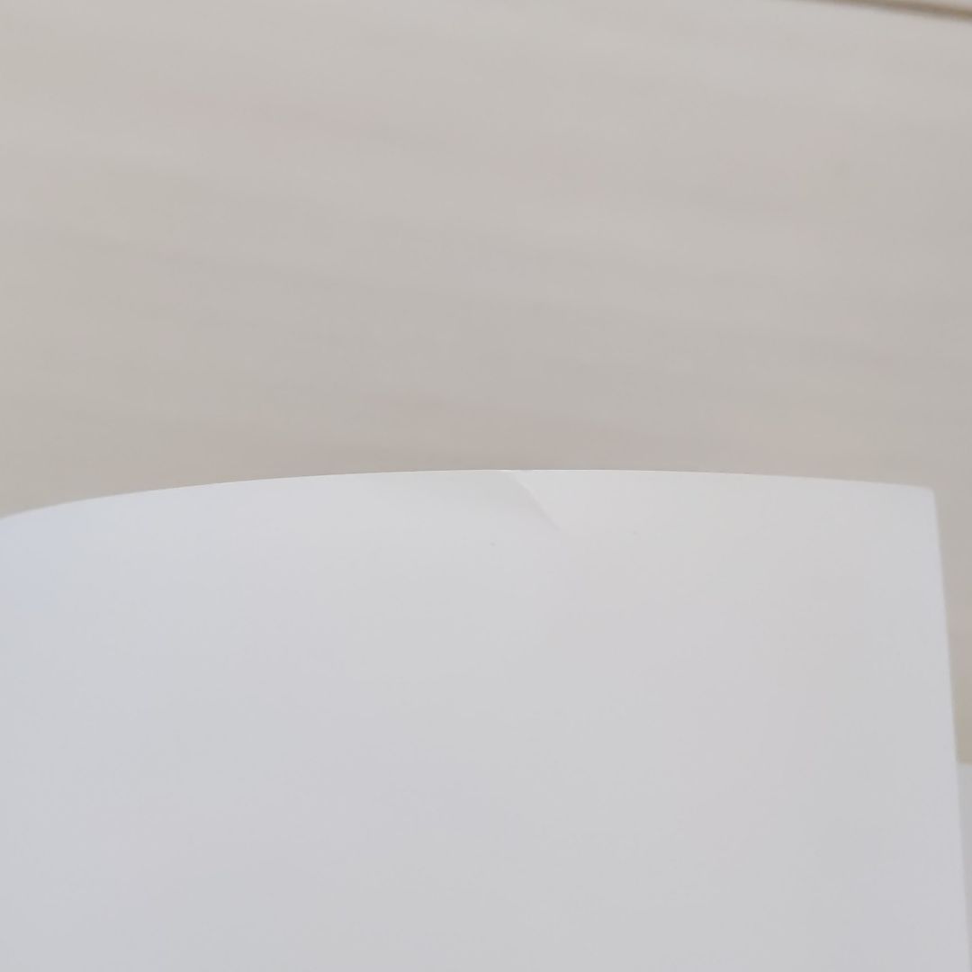 奈良美智　超レア限定ポスター5枚組　現代アート