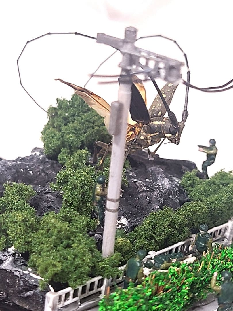 カミキリムシ　立体標本