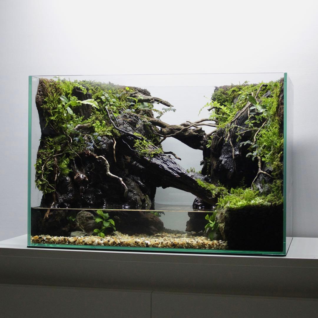 ☆Mii☆プロフ読んで下さい★　アクアテラリウム　イモリウム