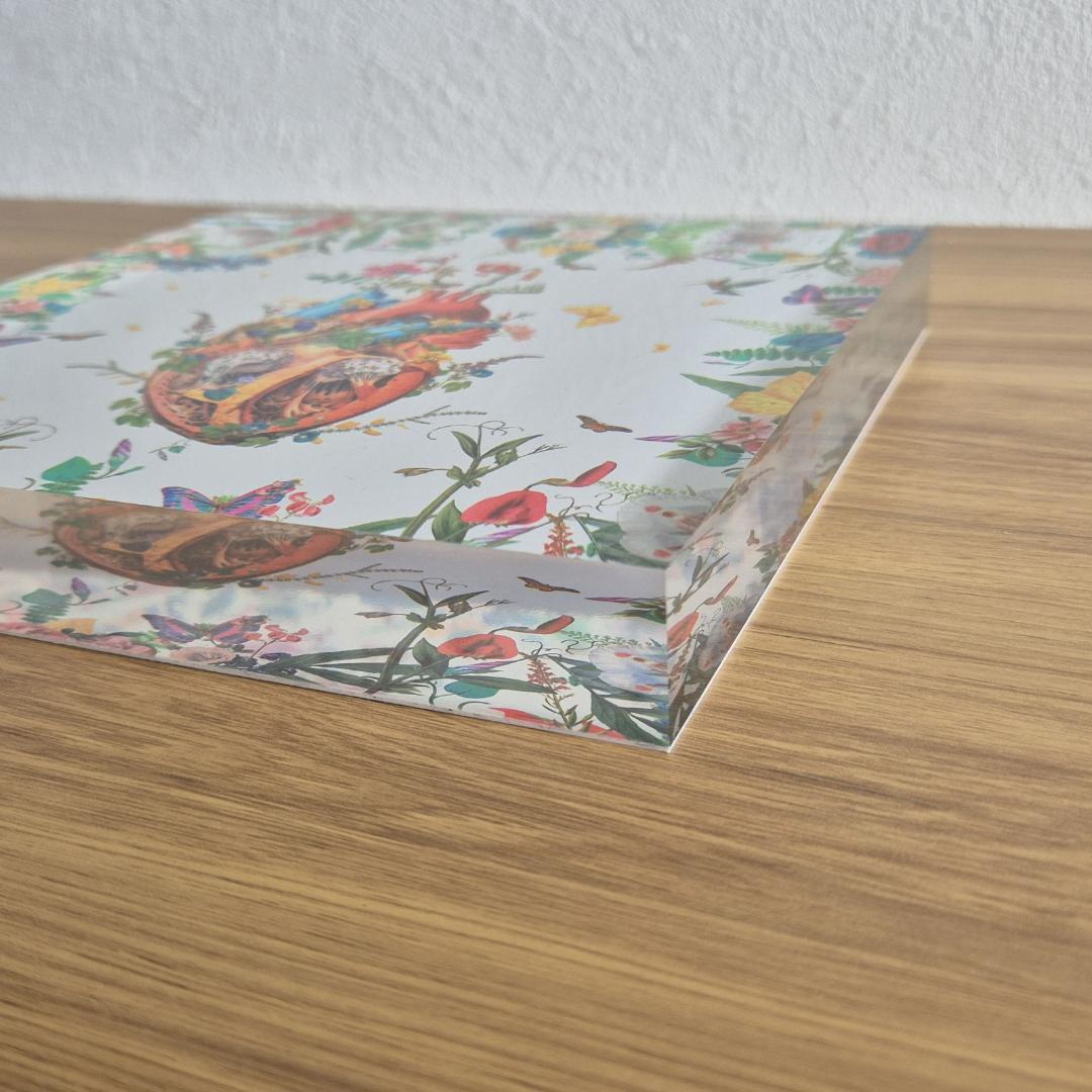 David Krovblit - Heart Growth 限定版 51/70