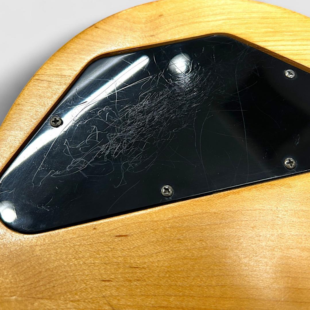 ギター Gibson SG Special Raw Power