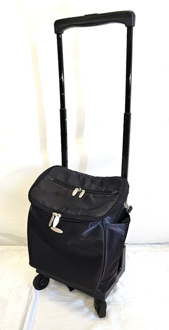 SWANY　スワニー　キャリーカート　キャリーバッグ　取り外し可能