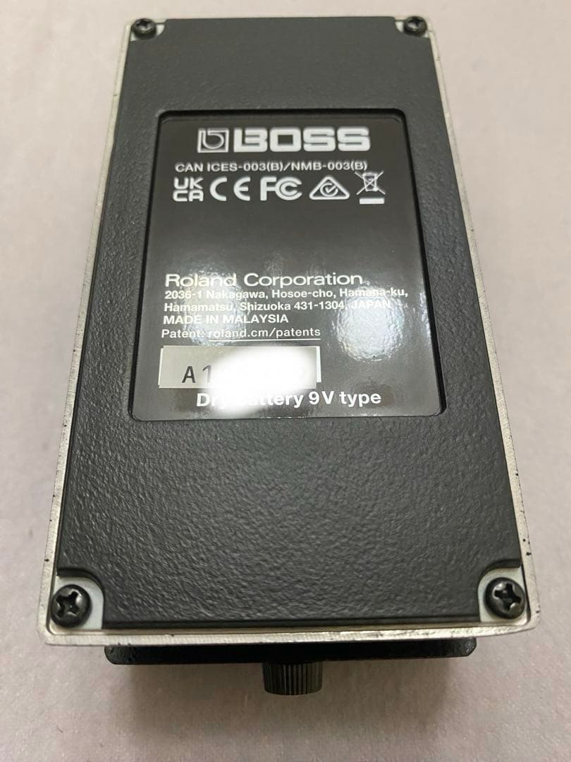 ギター BOSS RE-2