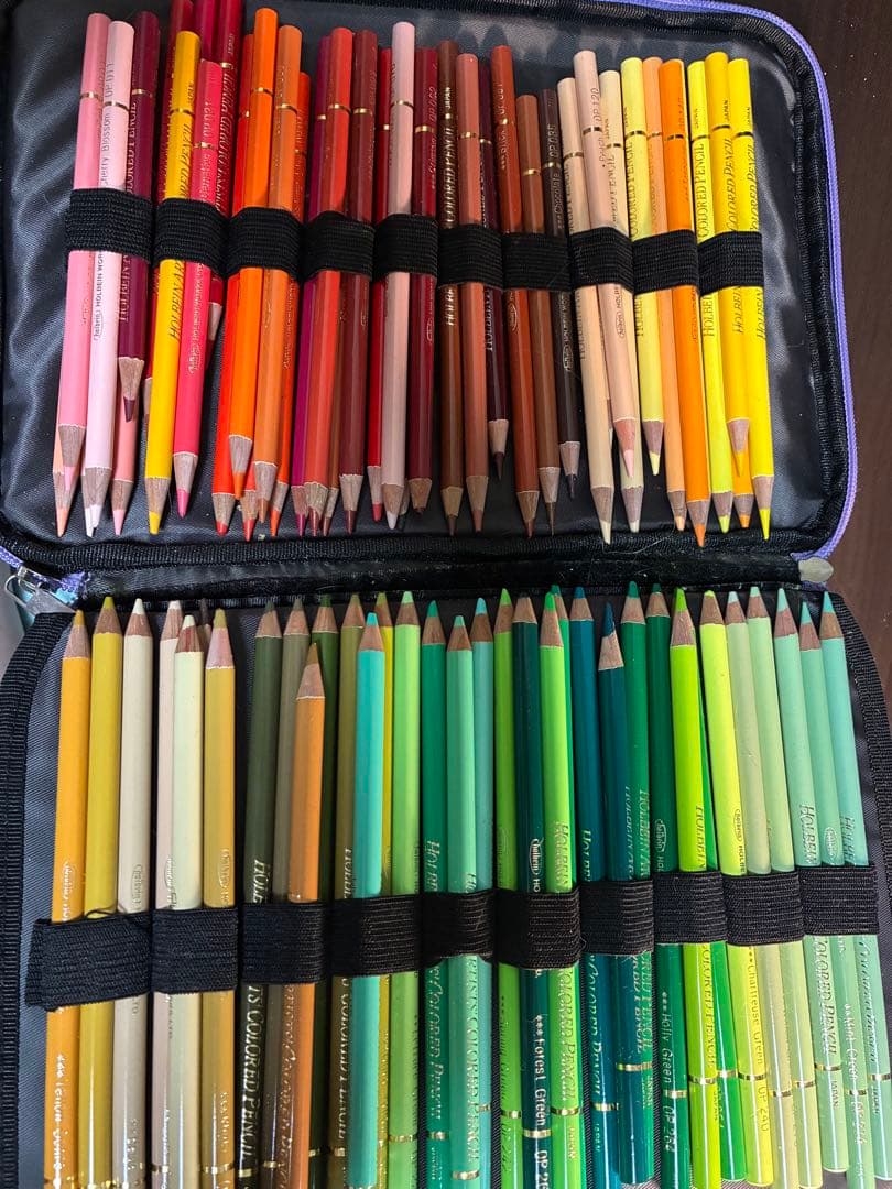 ホルベイン　プリシモ　ユニ　色辞典　色鉛筆&ぬりえ本