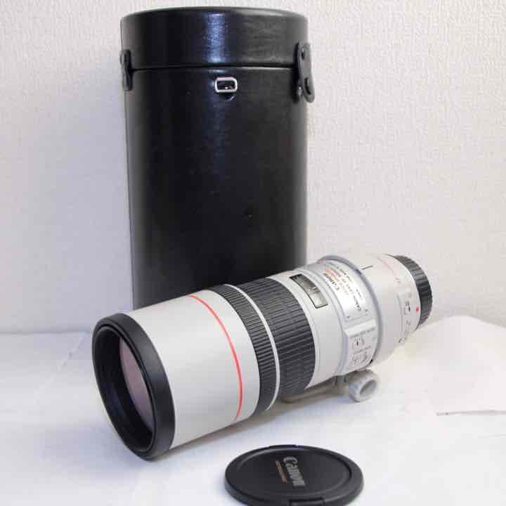 Canon 単焦点望遠レンズ EF300mm F4L IS