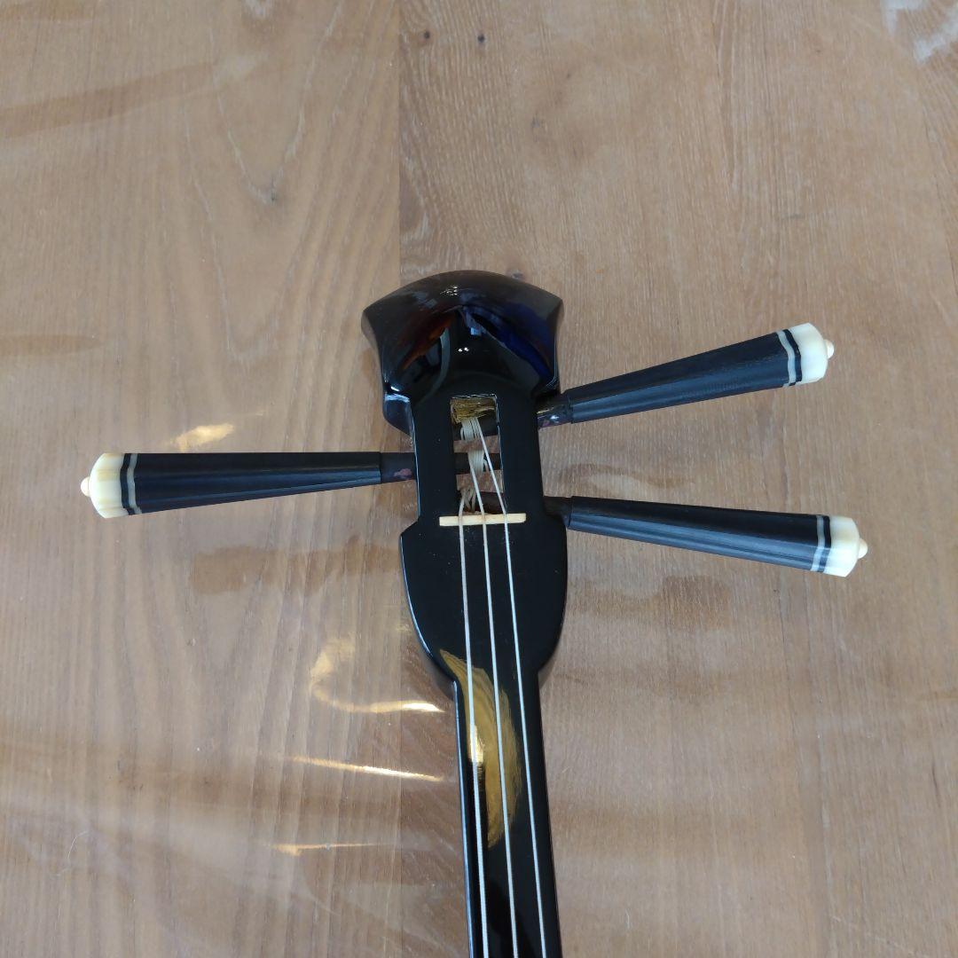 沖縄三線 蛇本皮 セミハードケース、バチ、新品の弦付き