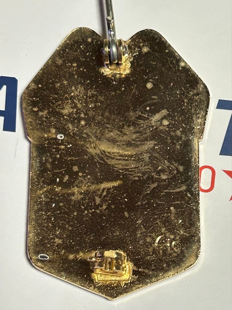 旧型　シークレットサービス　ポリスバッジ　USSS アクセスオーバーシーズ製