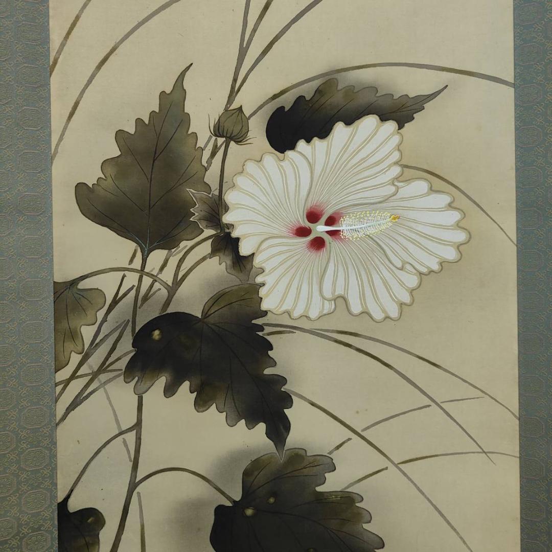 真作/龍畝/白蓉花図/花/桐共箱付布袋屋掛軸A-397