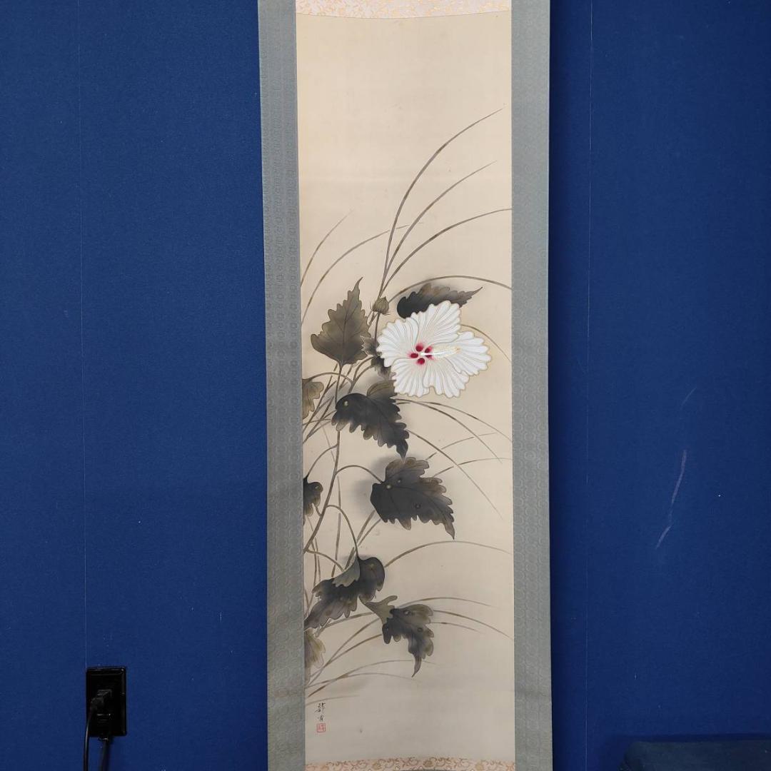 真作/龍畝/白蓉花図/花/桐共箱付布袋屋掛軸A-397