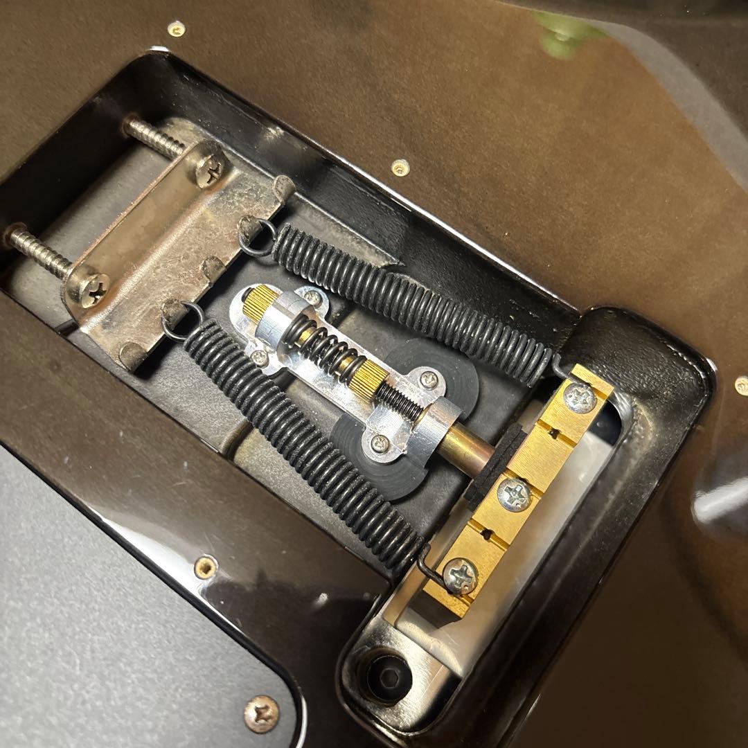 SCHECTER シェクター ／NV-III-24-BW ⚠️説明欄に注意書きあり