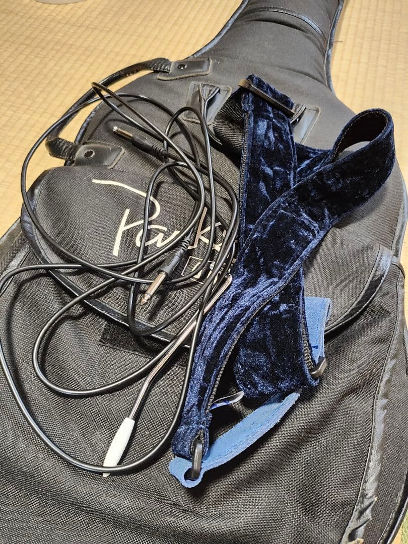 Parker ステンレスフレット化、ロックペグ化済