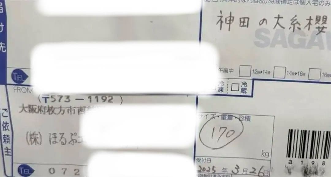 【新品未開封】中島千波 神田の大糸桜